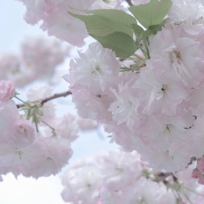 唐县FurryQQ群介绍